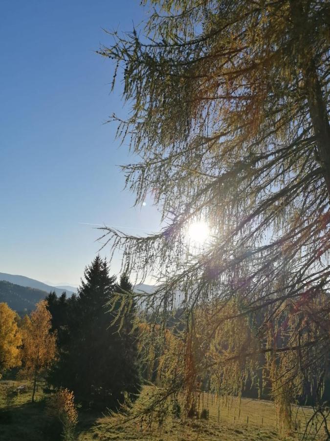 Ferienwohnung Familie Pichler Neumarkt in Steiermark Exterior foto