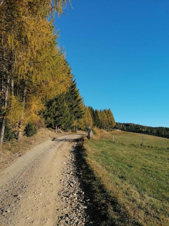 Ferienwohnung Familie Pichler Neumarkt in Steiermark Exterior foto